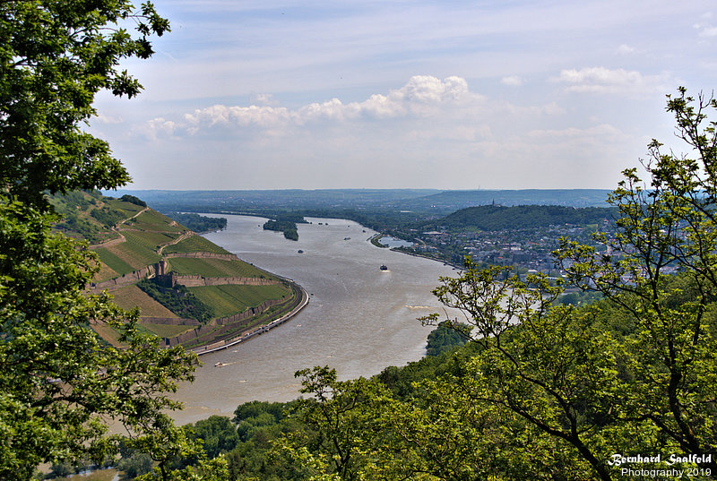 Bernhard Saalfeld - DSC00343 -1.jpg